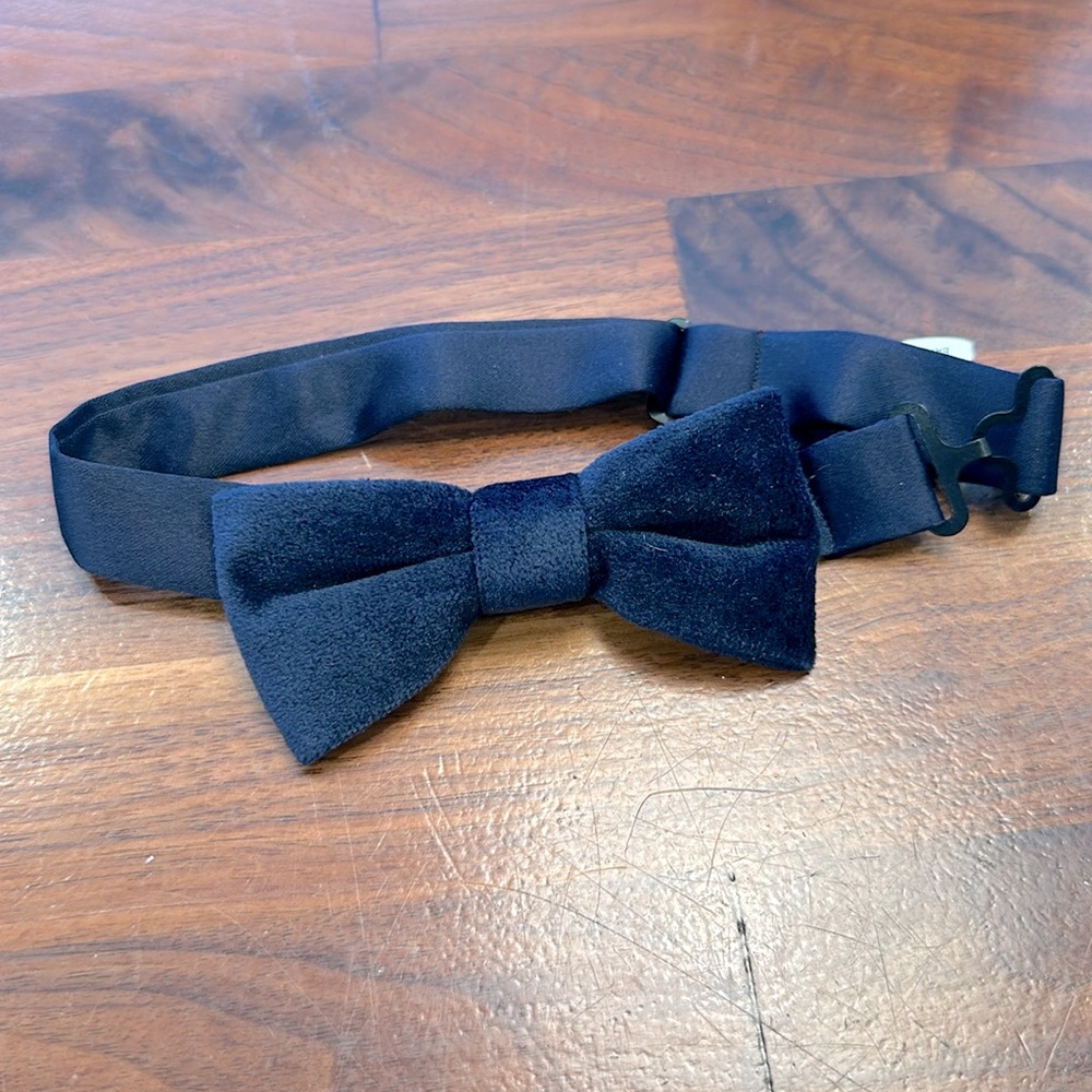 Boys Appaman Navy velvet bowtie